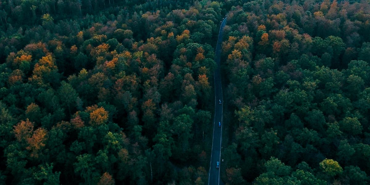 Exploring the Black Forest, Germany