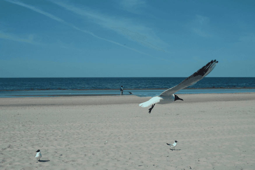 Jurmala, Latvia