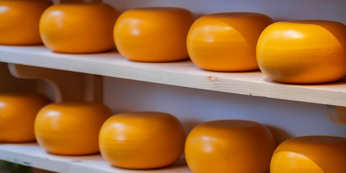 Best Museums in Amsterdam - Cheese