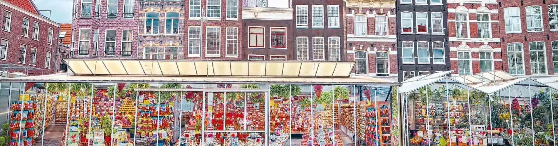 Spring Flowers in Amsterdam - blog hero