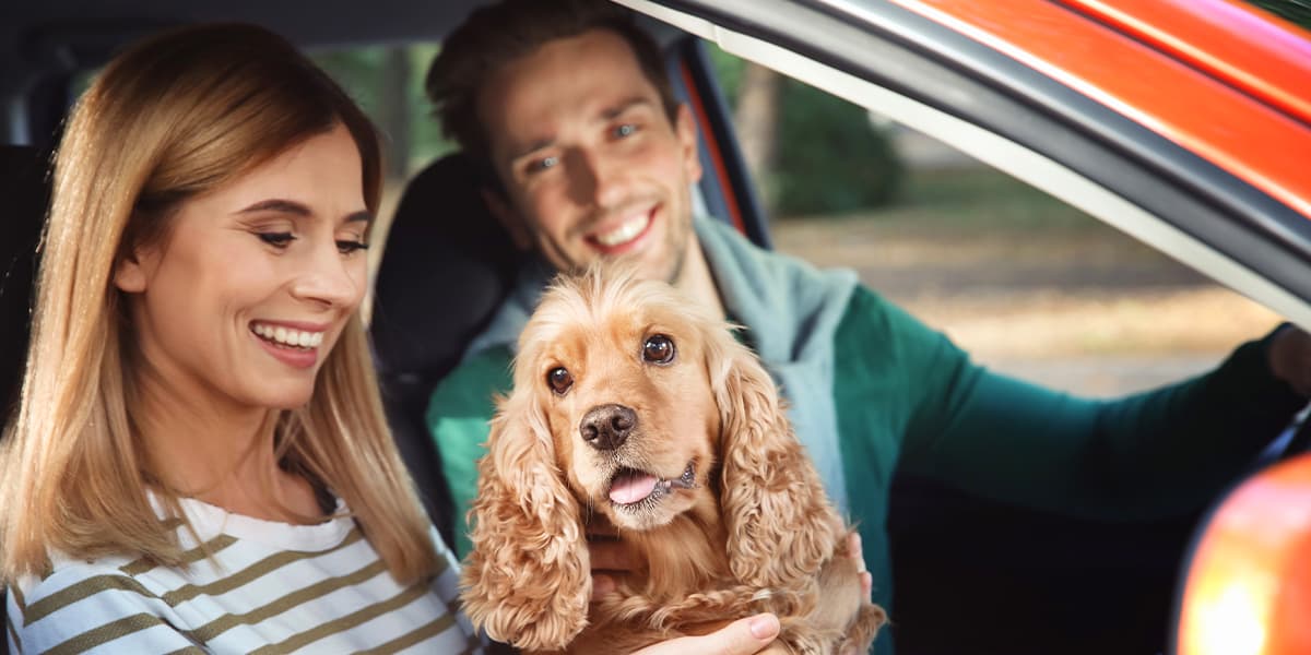 Best European Cities for Dogs Hero