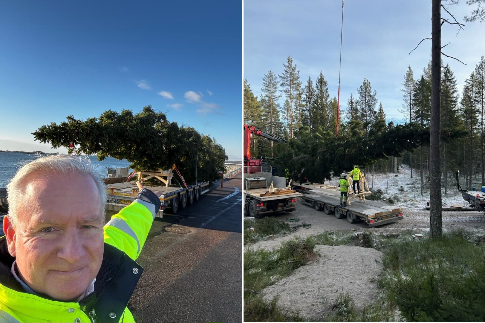 Christmas tree, Ever Oslo