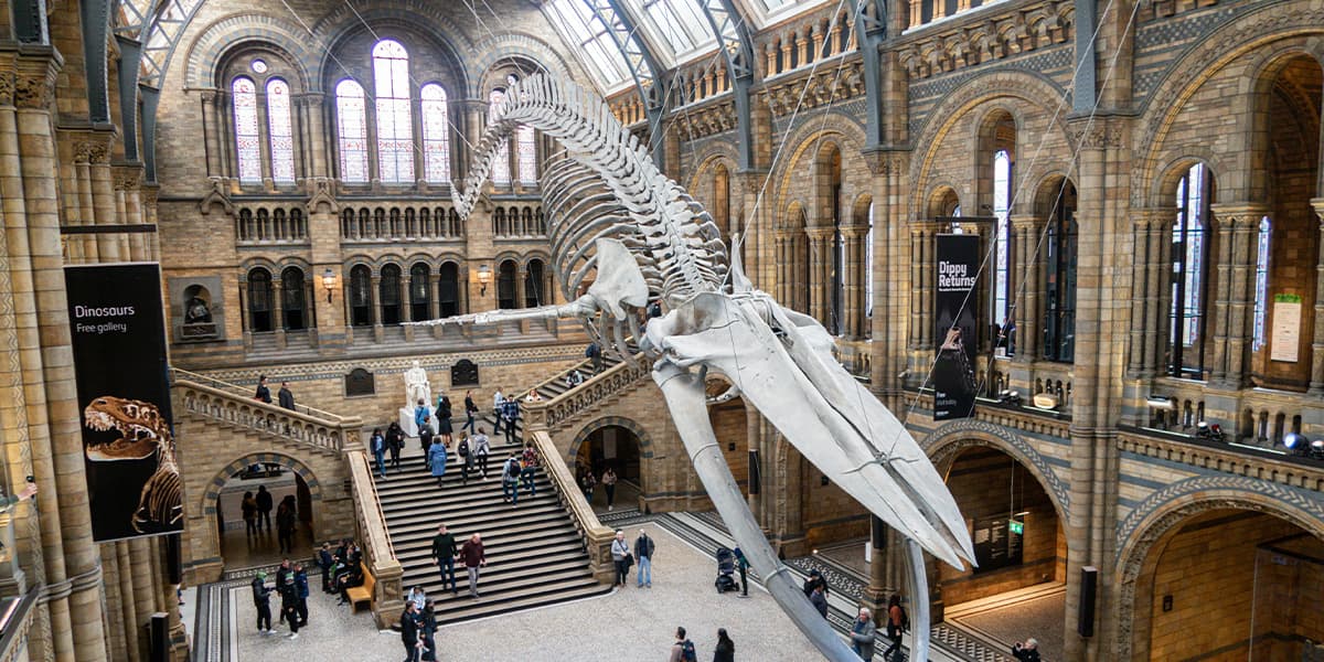 What to do in London for free