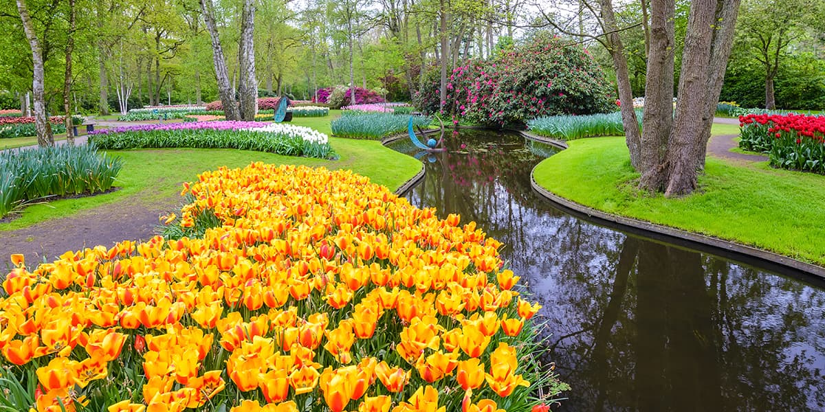 Amsterdam - Keukenhof