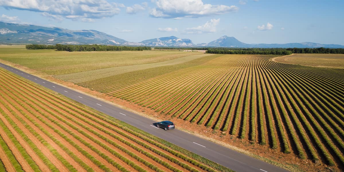 The Perfect Road Trip to The South of France