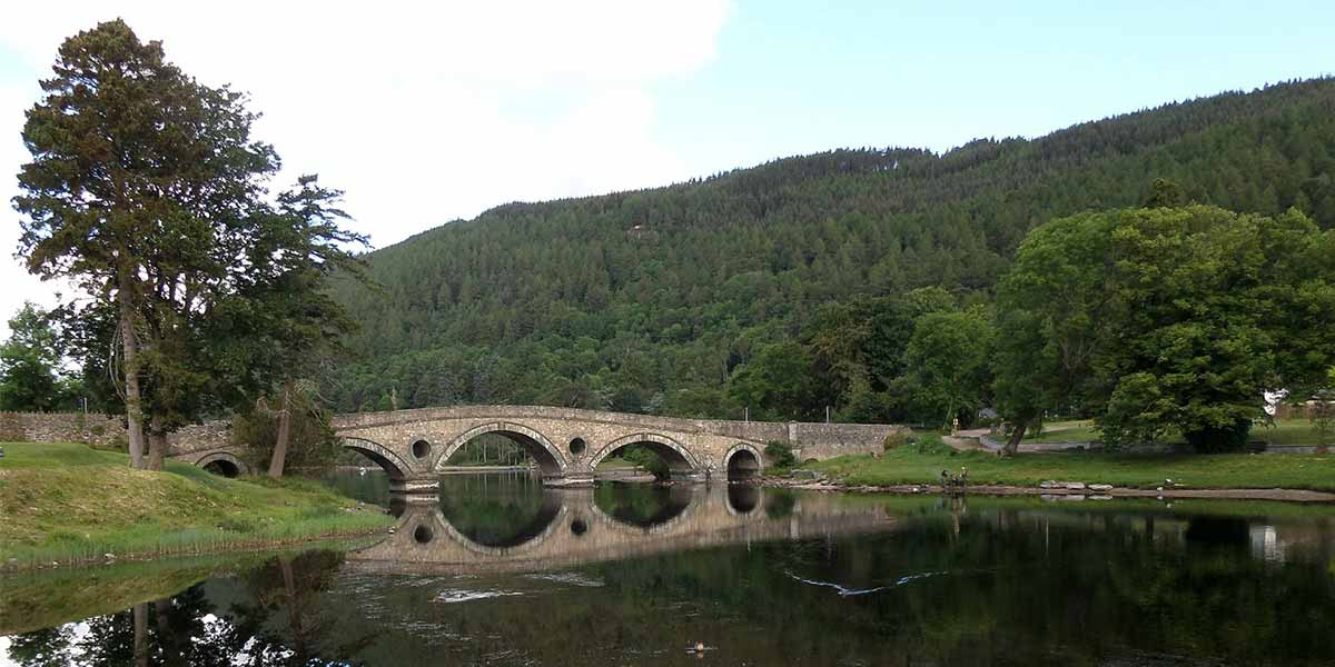 Nature in Scotland